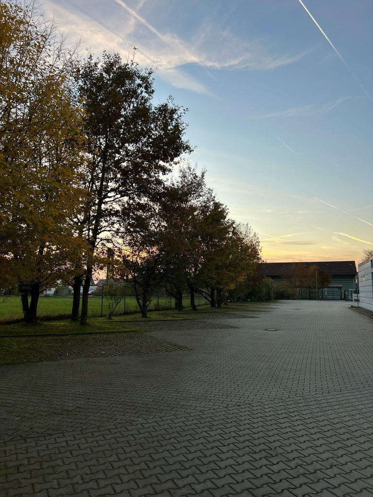 Nachher Laubentfernung